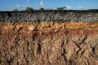 Soil